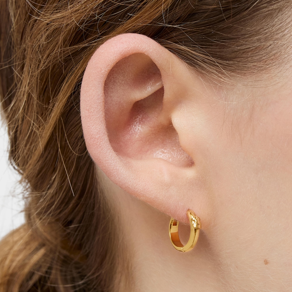 Pendientes aro oso con ba&ntilde;o de oro 18 kt sobre plata TOUS Basics