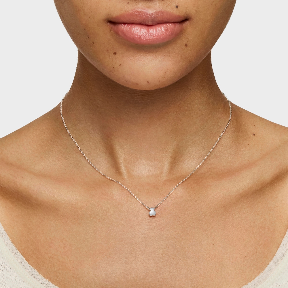 Pack de Collares oso-estrella de plata Mini Icons