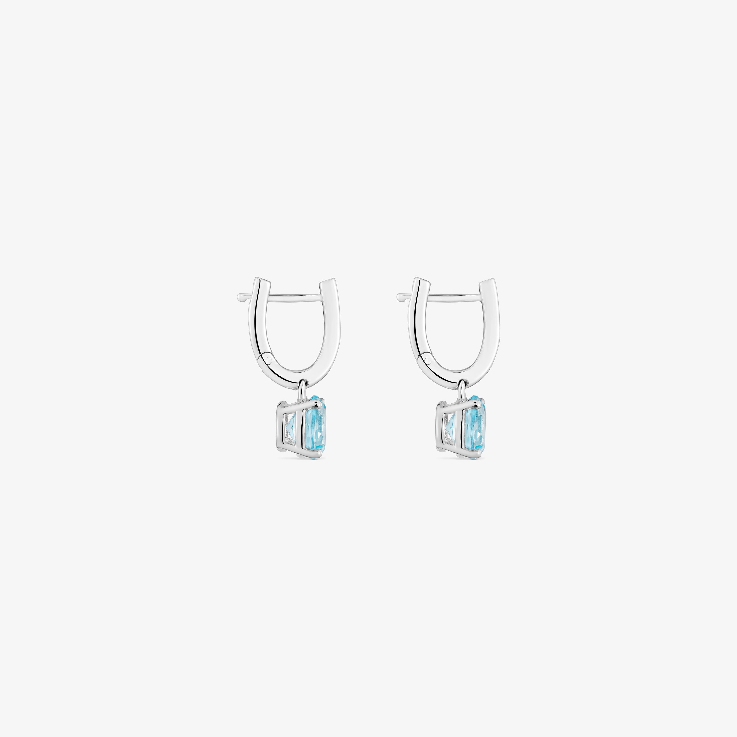 Basic Colors silver and topaz Earrings