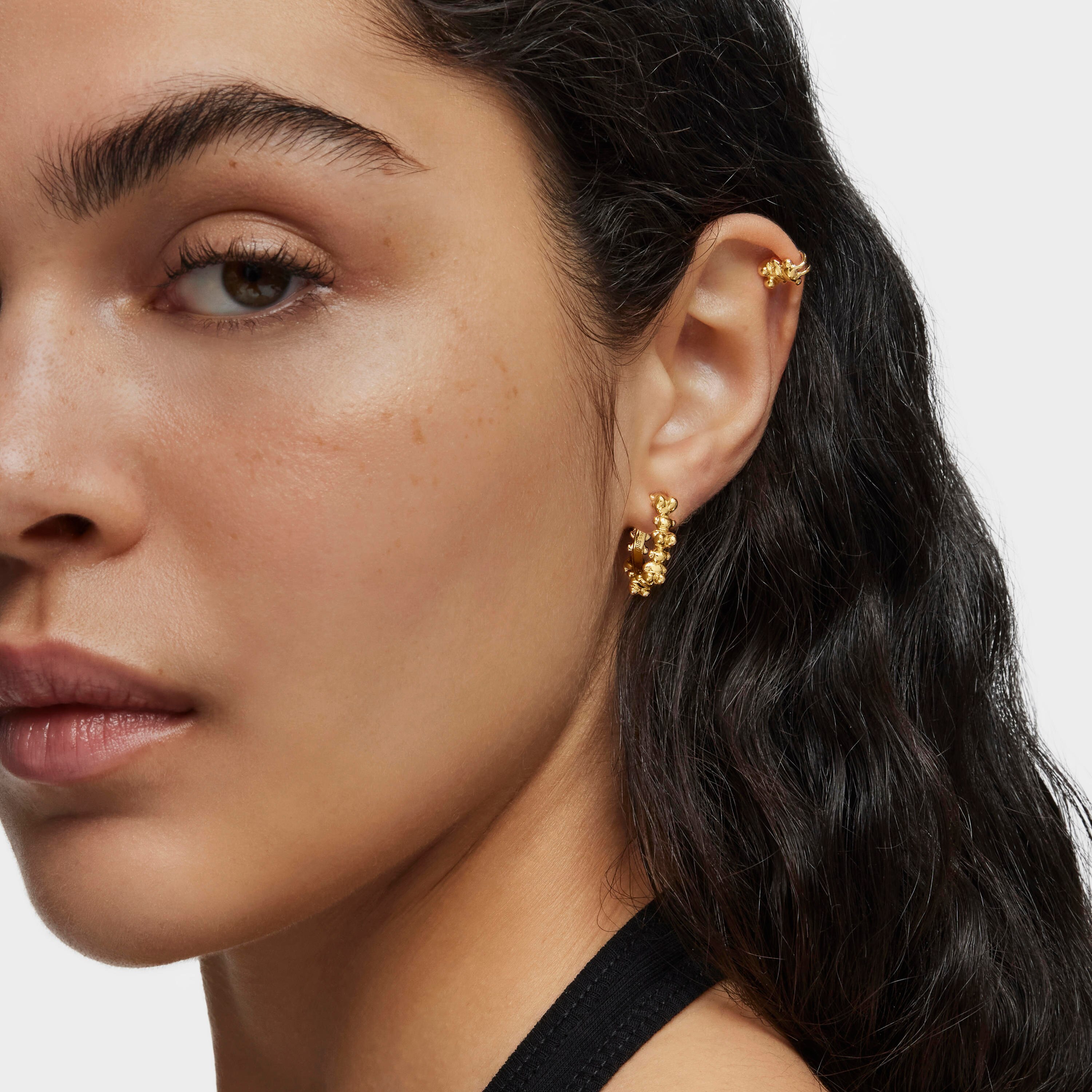 Bold Bear 12 mm hoop earrings with 18K gold vermeil