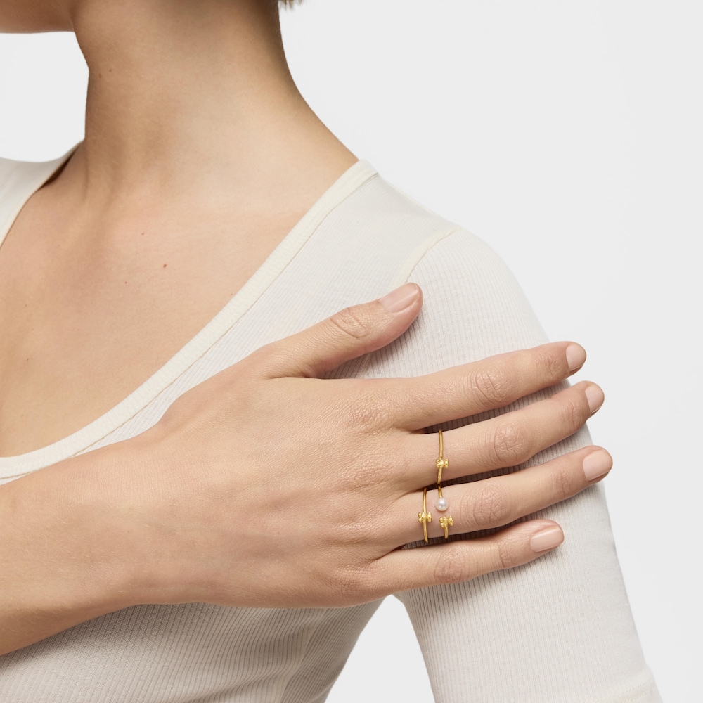 &Delta;&alpha;&chi;&tau;&upsilon;&lambda;ί&delta;&iota; Bold Bear &alpha;&pi;ό &chi;&rho;&upsilon;&sigma;ό &mu;&epsilon; &lambda;&epsilon;&pi;&tau;&omicron;&mu;έ&rho;&epsilon;&iota;&alpha; &mu;&epsilon; &alpha;&rho;&kappa;&omicron;&upsilon;&delta;ά&kappa;&iota;