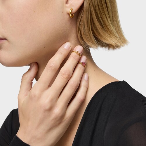 Pack Claws ring con baño de oro 18 kt sobre plata con rodolitas