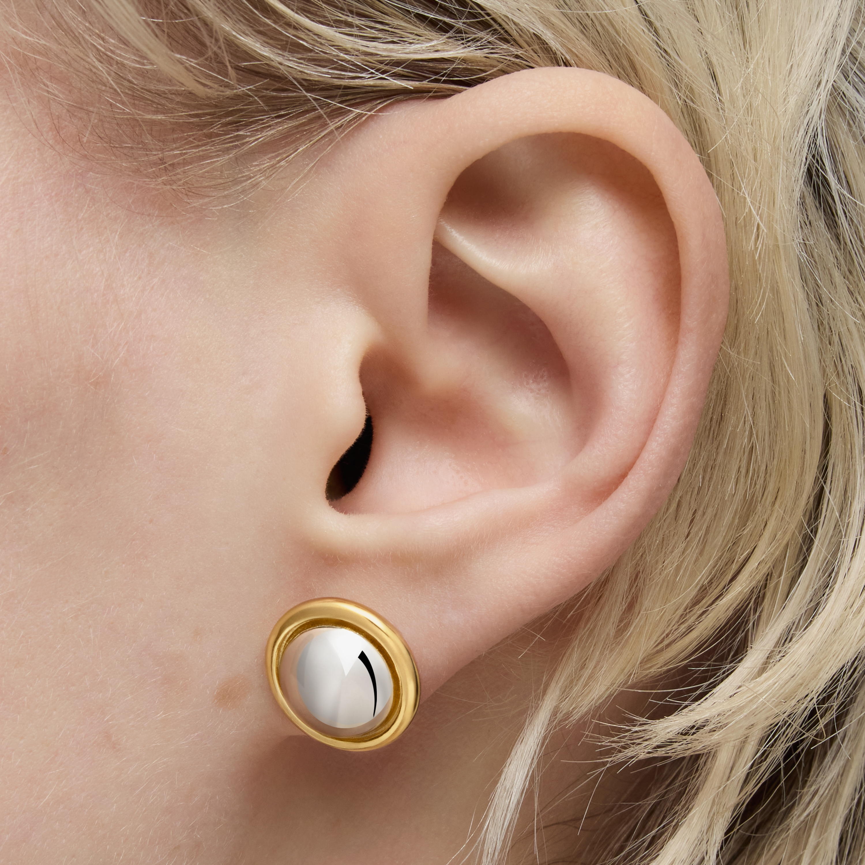 Two-tone Earrings Plump