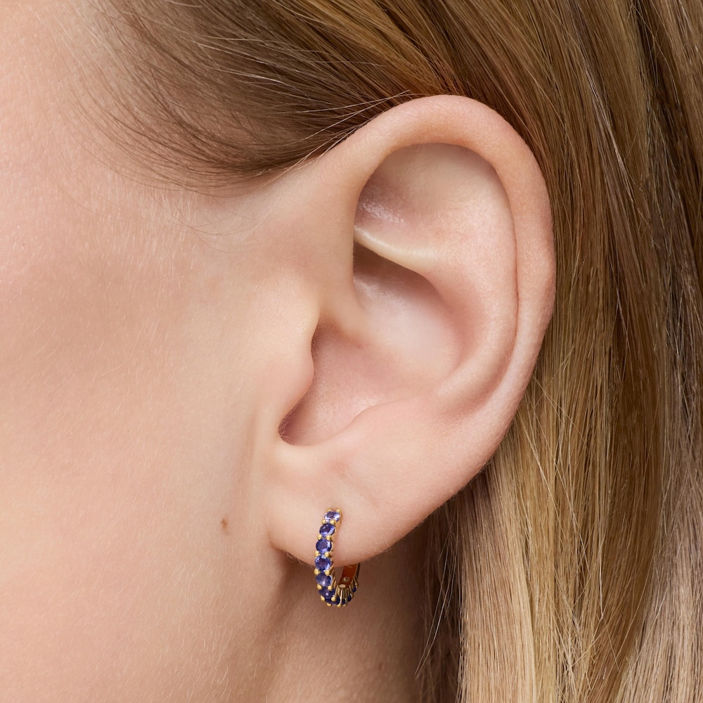 18K solid gold Hoop earrings with iolites Daisy