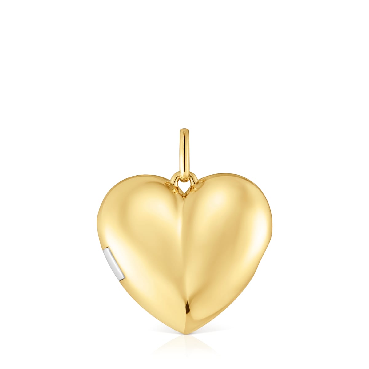 Colgante corazón bicolor Medallions