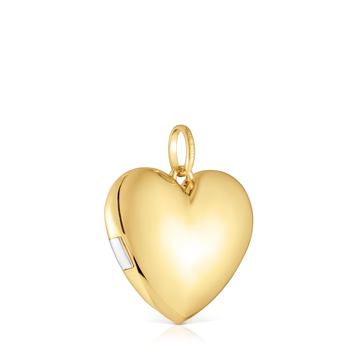Colgante corazón bicolor Medallions