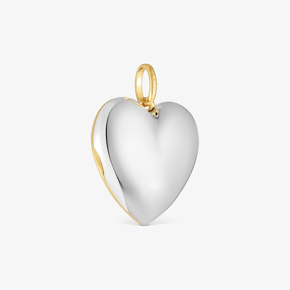 Dwukolorowy Wisiorek z motywem serca Medallions