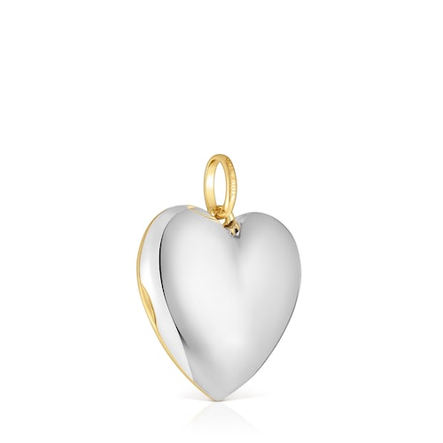 Colgante corazón bicolor Medallions