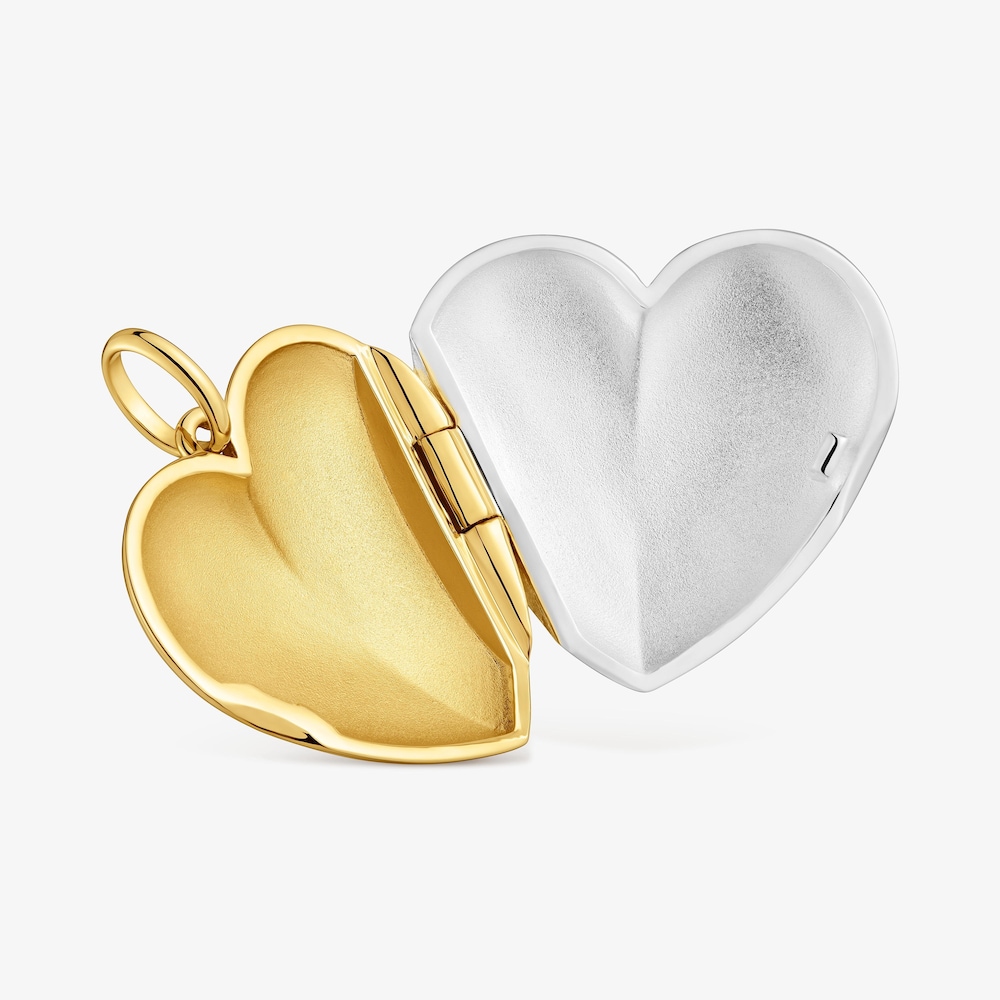 Dwukolorowy Wisiorek z motywem serca Medallions