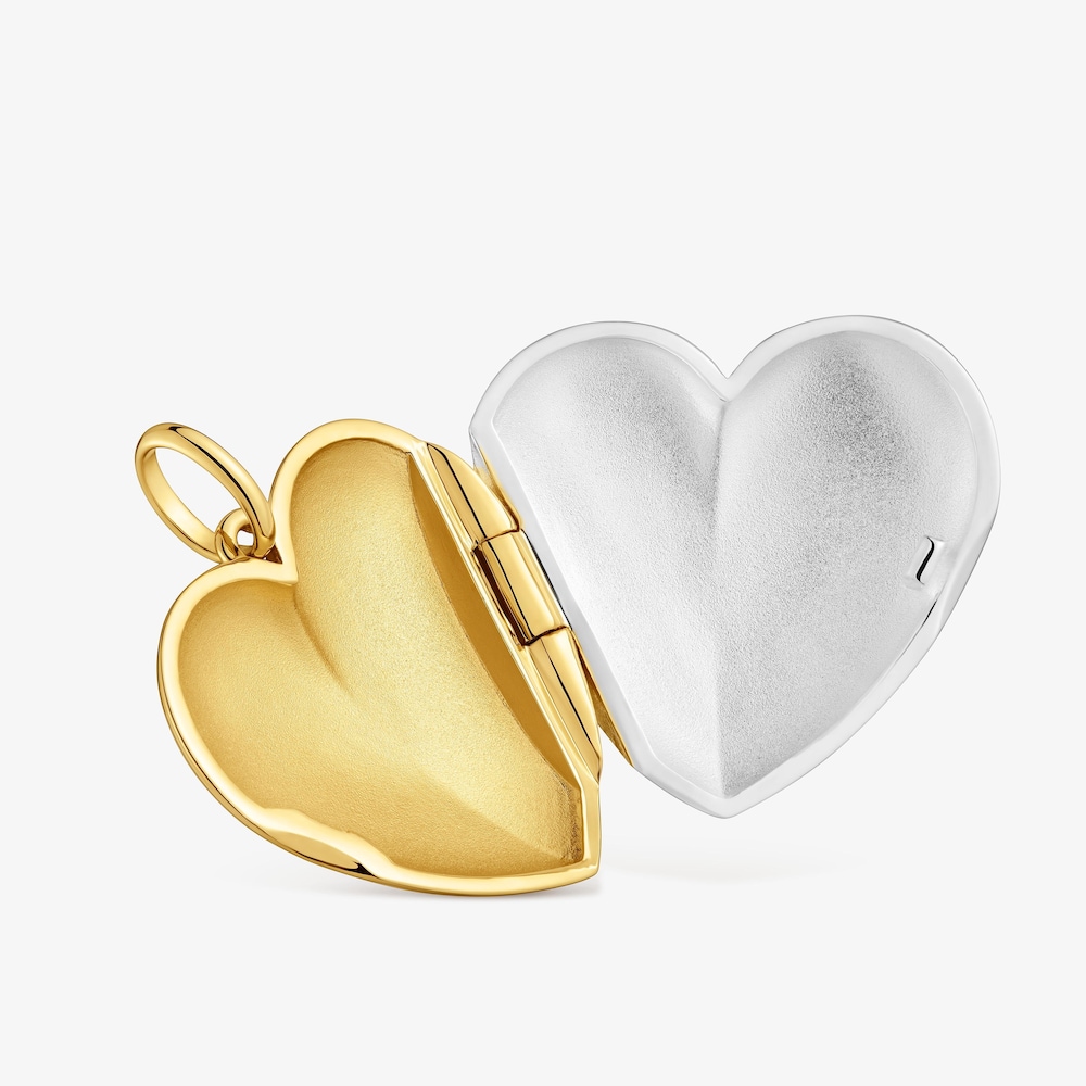 Dwukolorowy Wisiorek z motywem serca Medallions