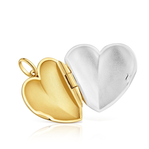 Colgante coraz&oacute;n bicolor Medallions