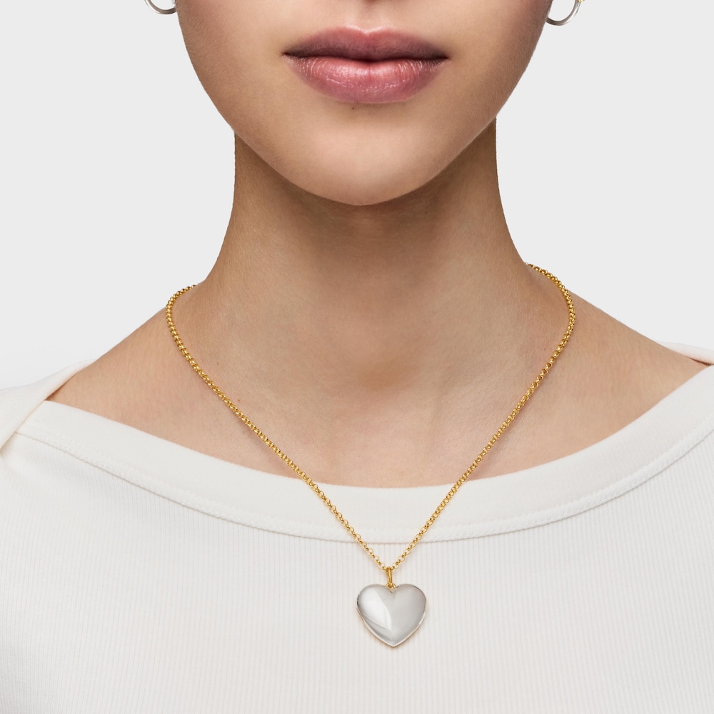 Dwukolorowy Wisiorek z motywem serca Medallions