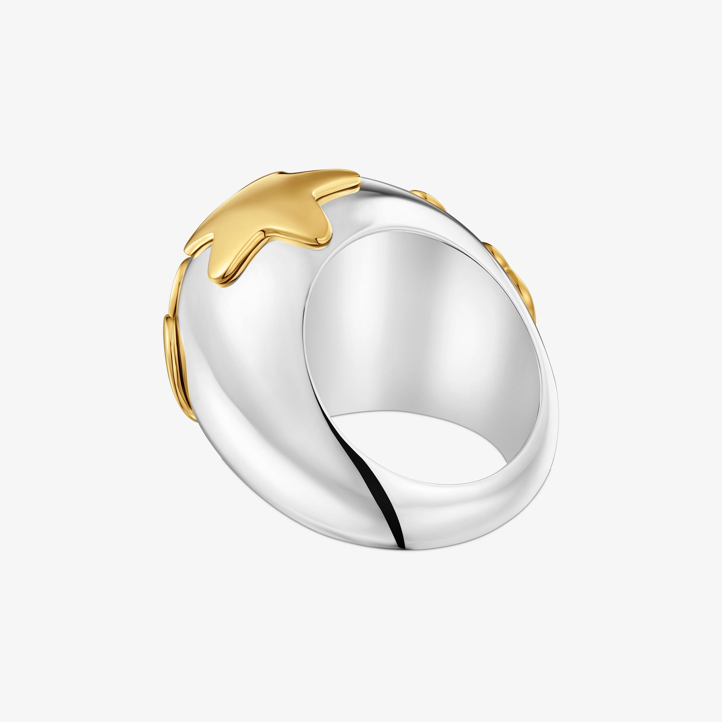 Wide two-tone dome Ring with motifs Warm