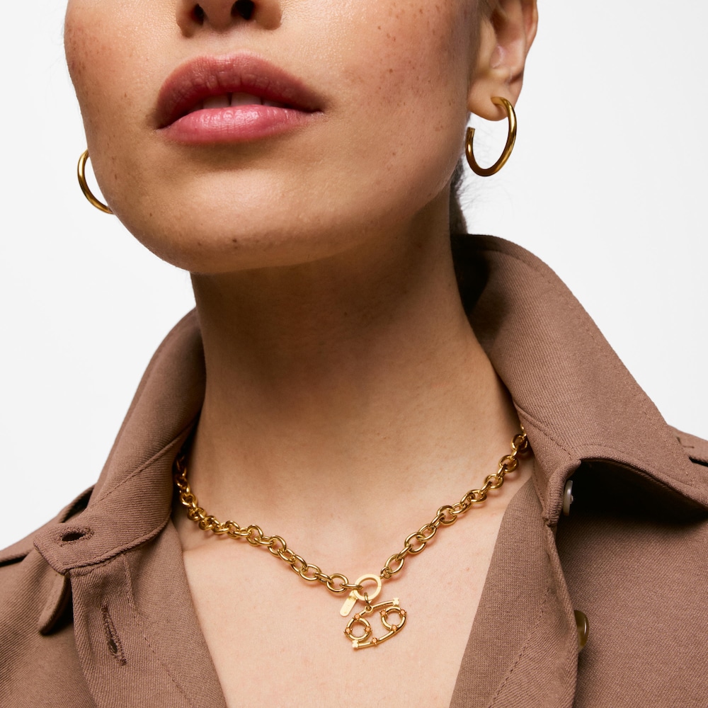 Př&iacute;věsek Rak ze stř&iacute;bra pozlacen&eacute;ho 18kar&aacute;tov&yacute;m zlatem s&nbsp;karneolem TOUS Zodiaco