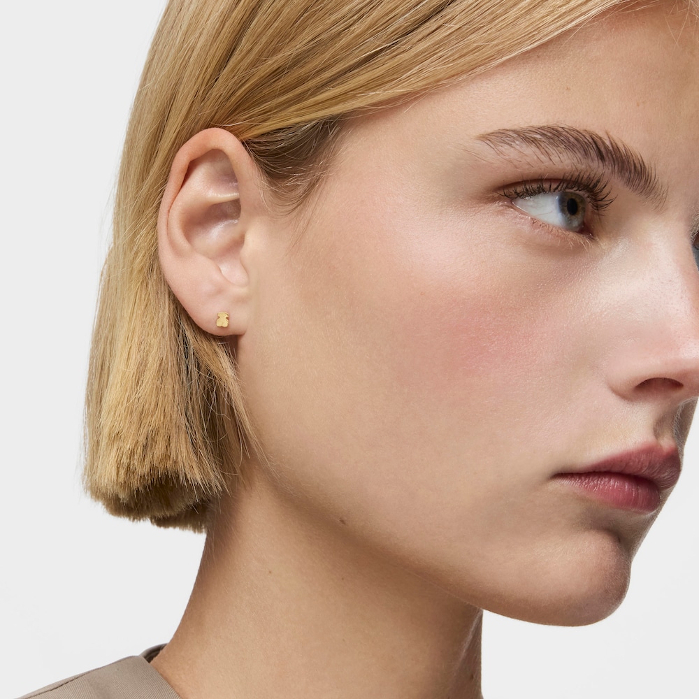 N&aacute;u&scaron;nice Tous Bear