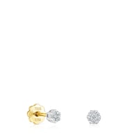 Pendientes de oro blanco y diamantes 0,08ct TOUS Diamonds