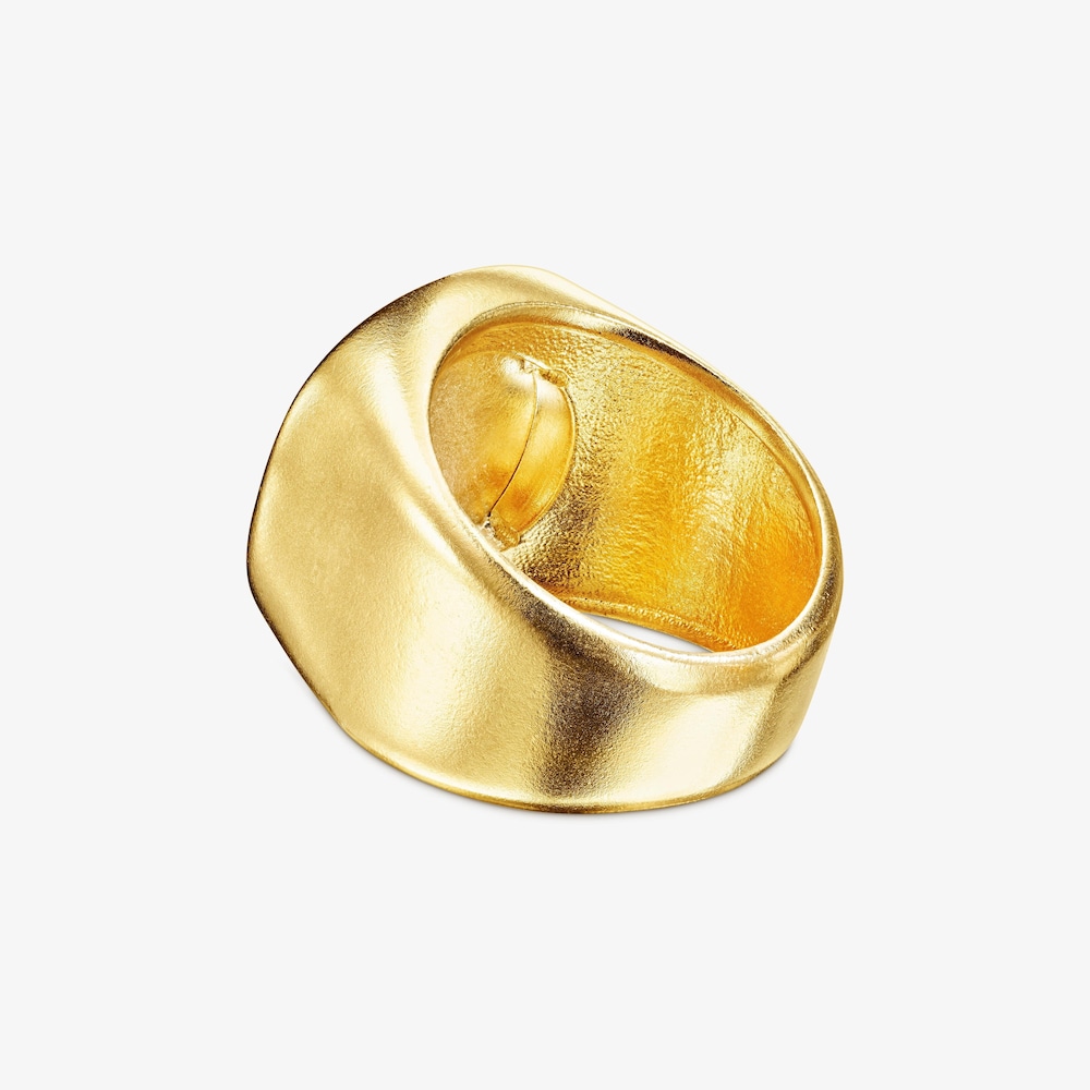 Anillo bicolor Oursin