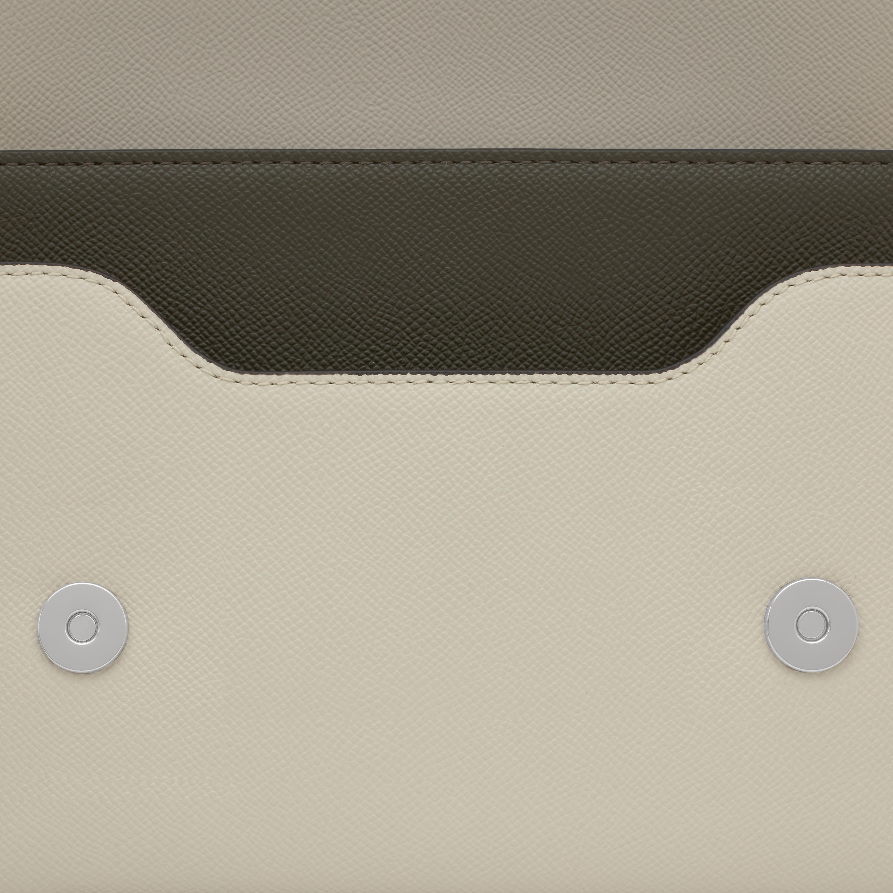 Medium khaki and green Crossbody bag Audree Saffiano