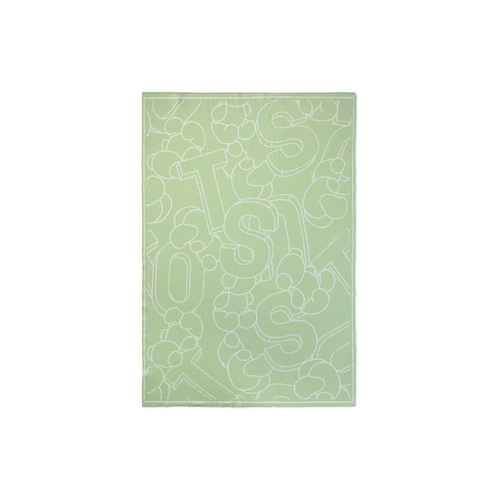 Reversible baby blanket in Nilo green