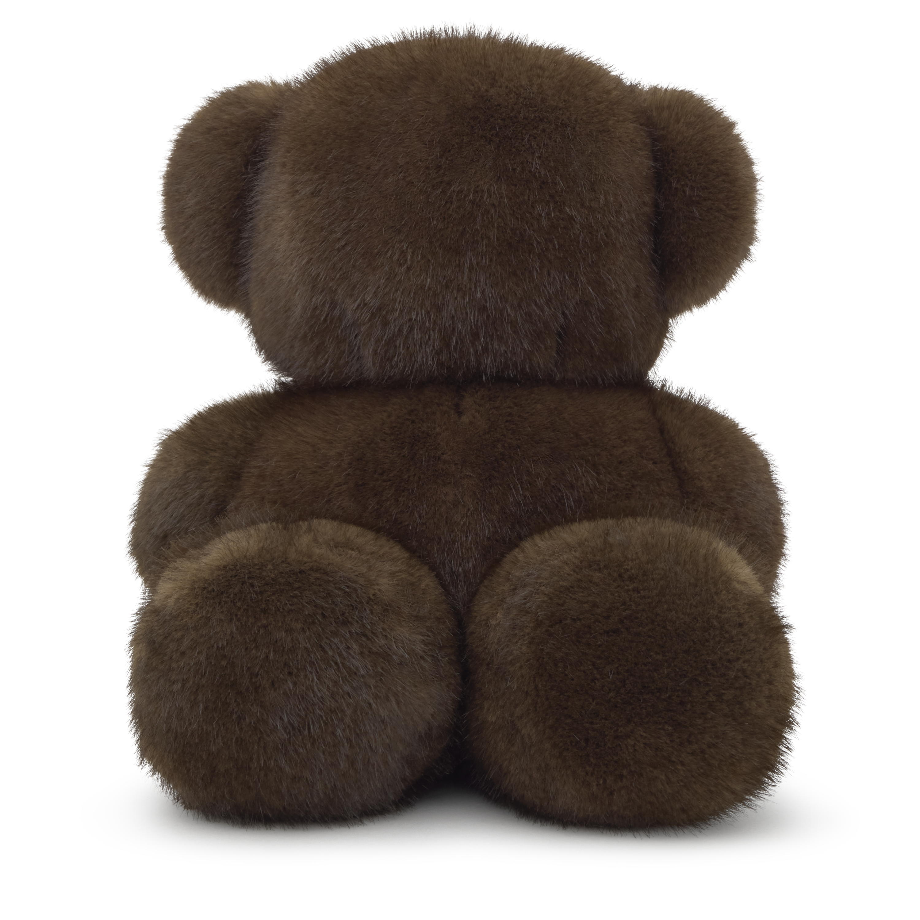 Brown Teddy bear Bold Bear Wild