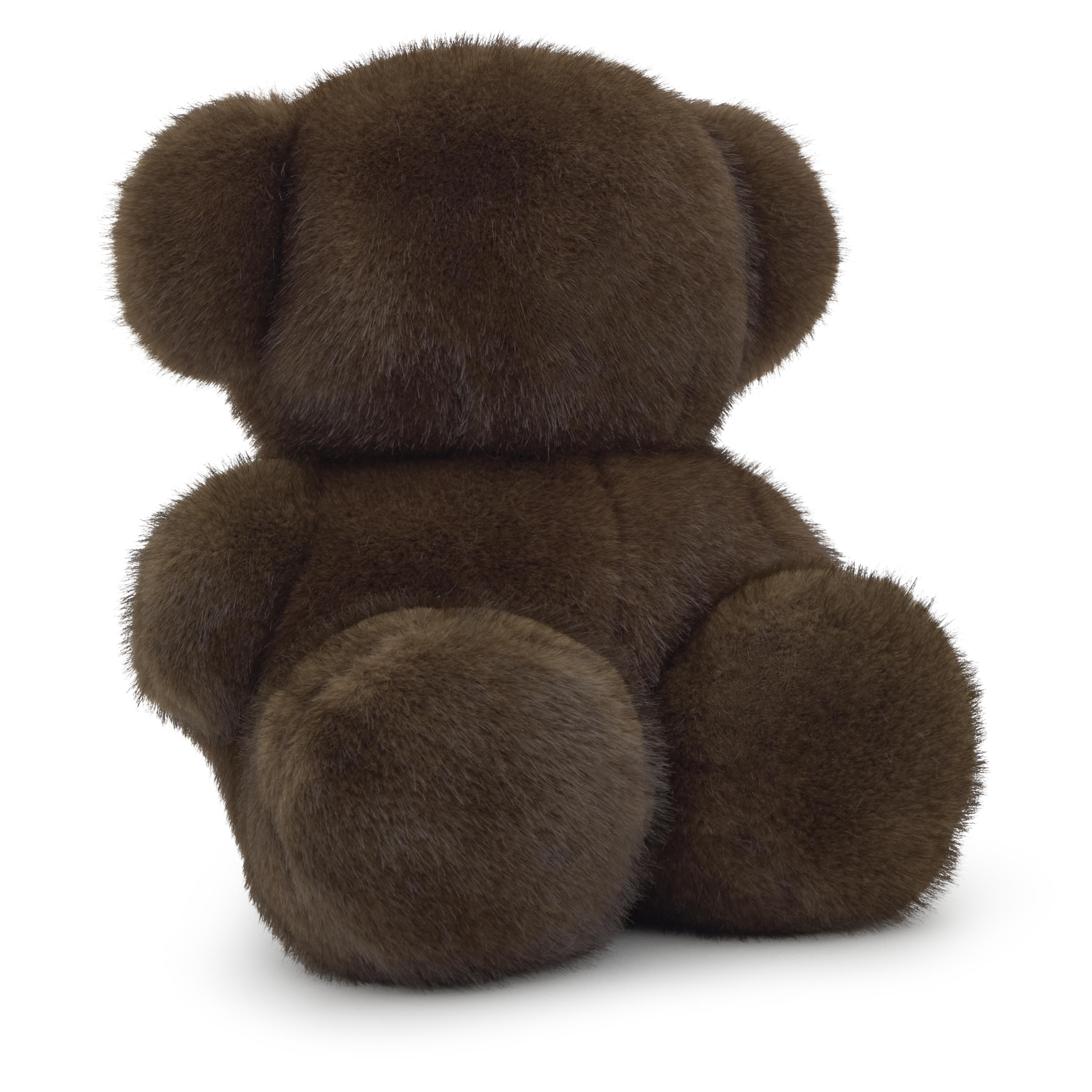Brown Teddy bear Bold Bear Wild