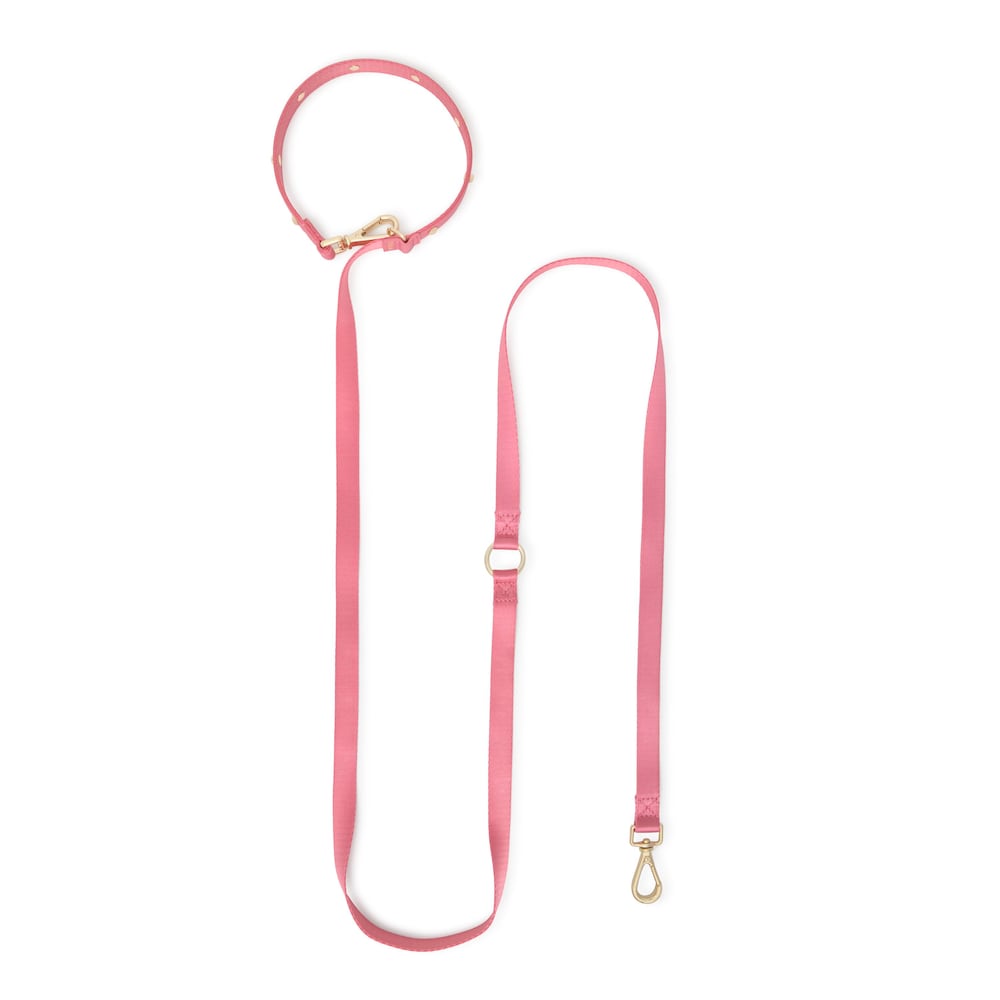 Medium &nu;ά&iota;&lambda;&omicron;&nu; &lambda;&omicron;&upsilon;&rho;ί &sigma;&kappa;ύ&lambda;&omicron;&upsilon; &sigma;&epsilon; &rho;&omicron;&zeta; &chi;&rho;ώ&mu;&alpha; TOUS Dogs Jewelry