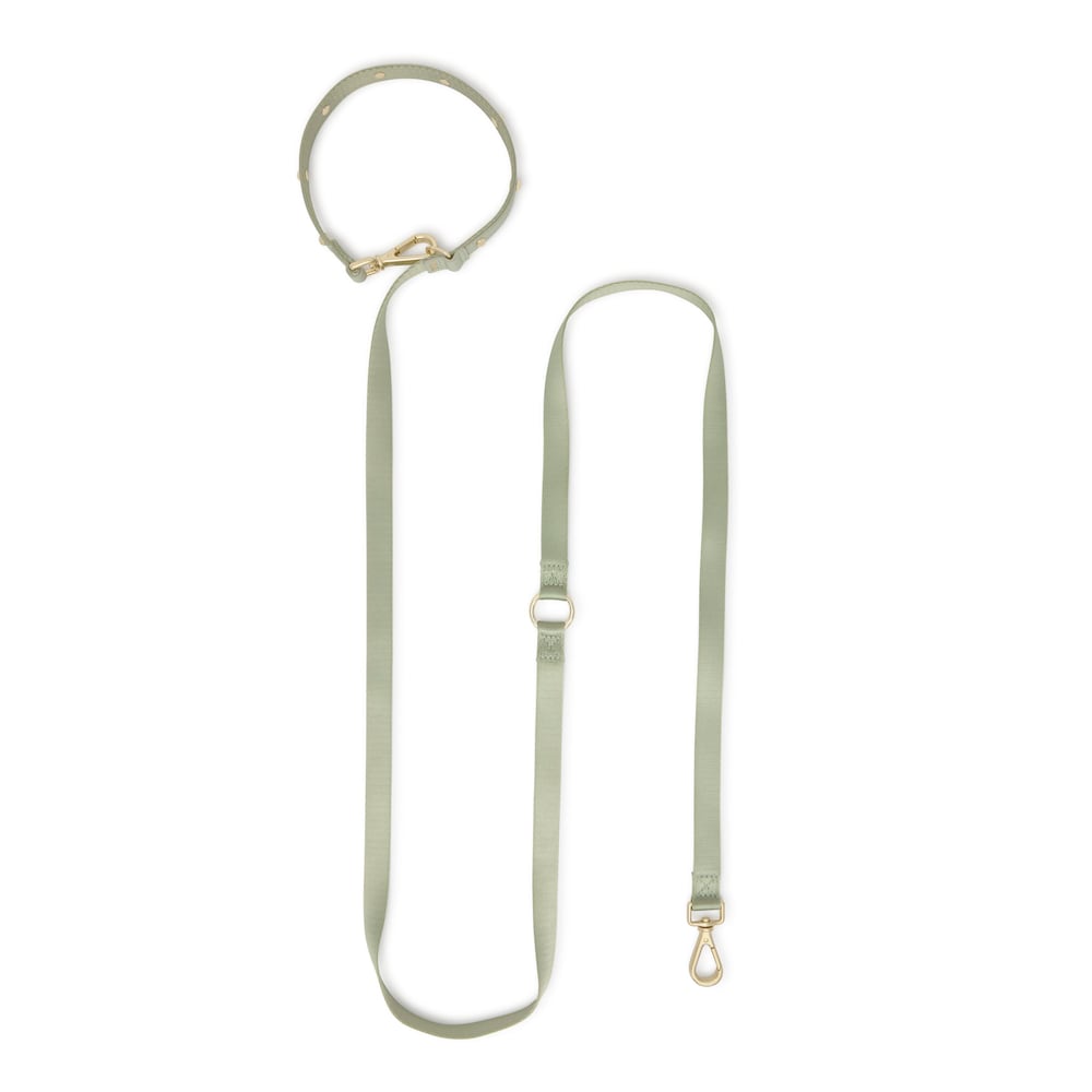 Medium &nu;ά&iota;&lambda;&omicron;&nu; &lambda;&omicron;&upsilon;&rho;ί &sigma;&kappa;ύ&lambda;&omicron;&upsilon; &sigma;&epsilon; &pi;&rho;ά&sigma;&iota;&nu;&omicron; &tau;&eta;&sigmaf; &mu;έ&nu;&tau;&alpha;&sigmaf; TOUS Dogs Jewelry