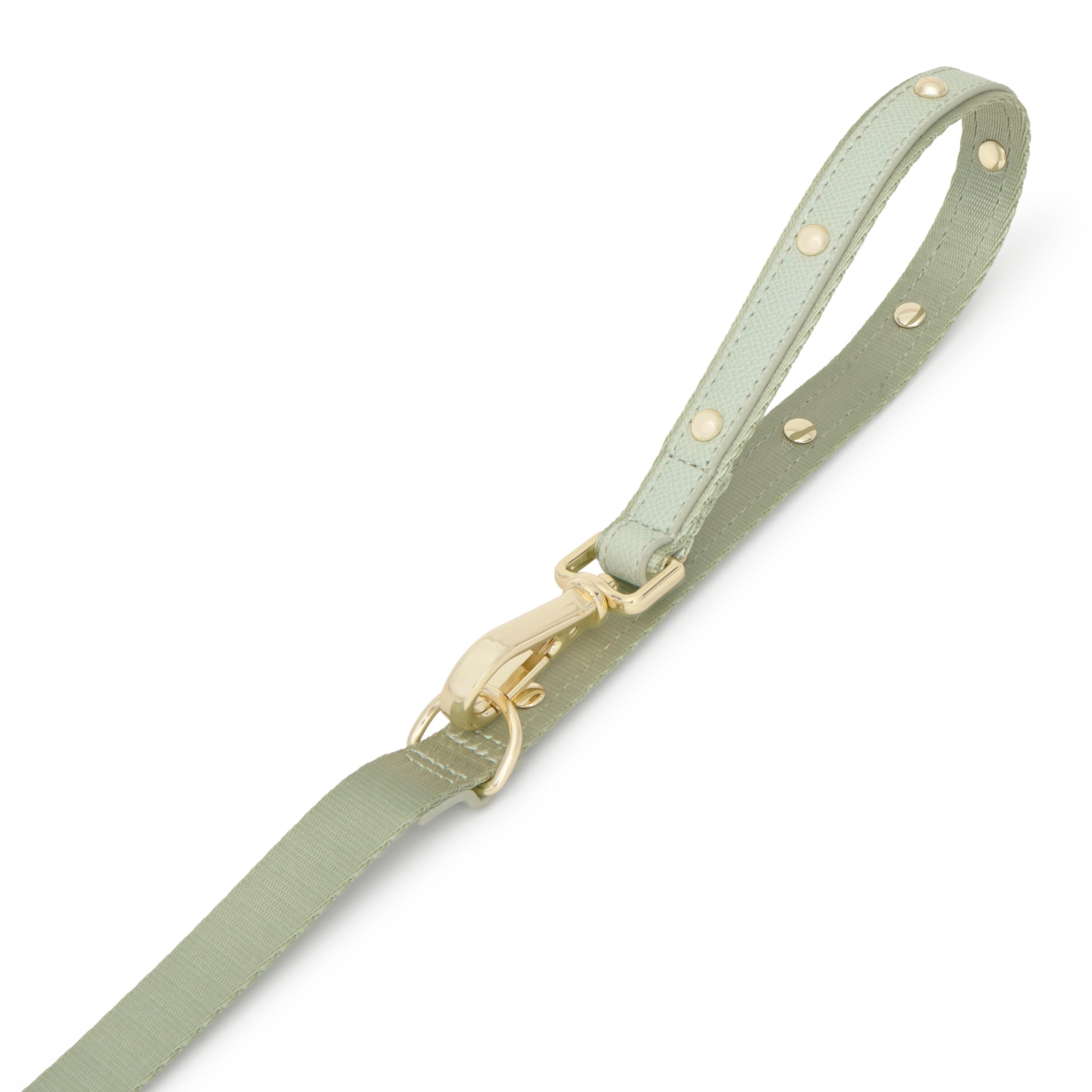 M mint green nylon Dog leash TOUS Dogs Jewelry