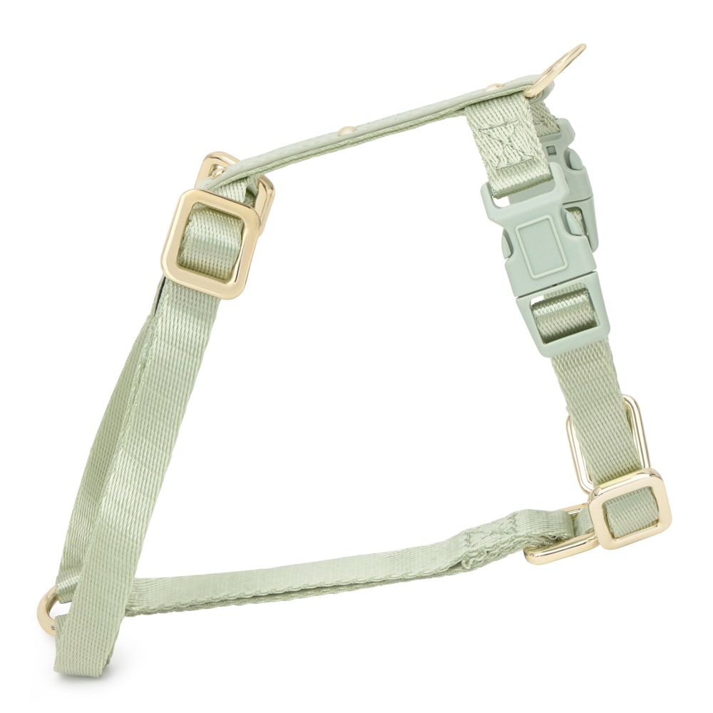 Arn&eacute;s de nylon menta para perro S TOUS Dogs Jewelry