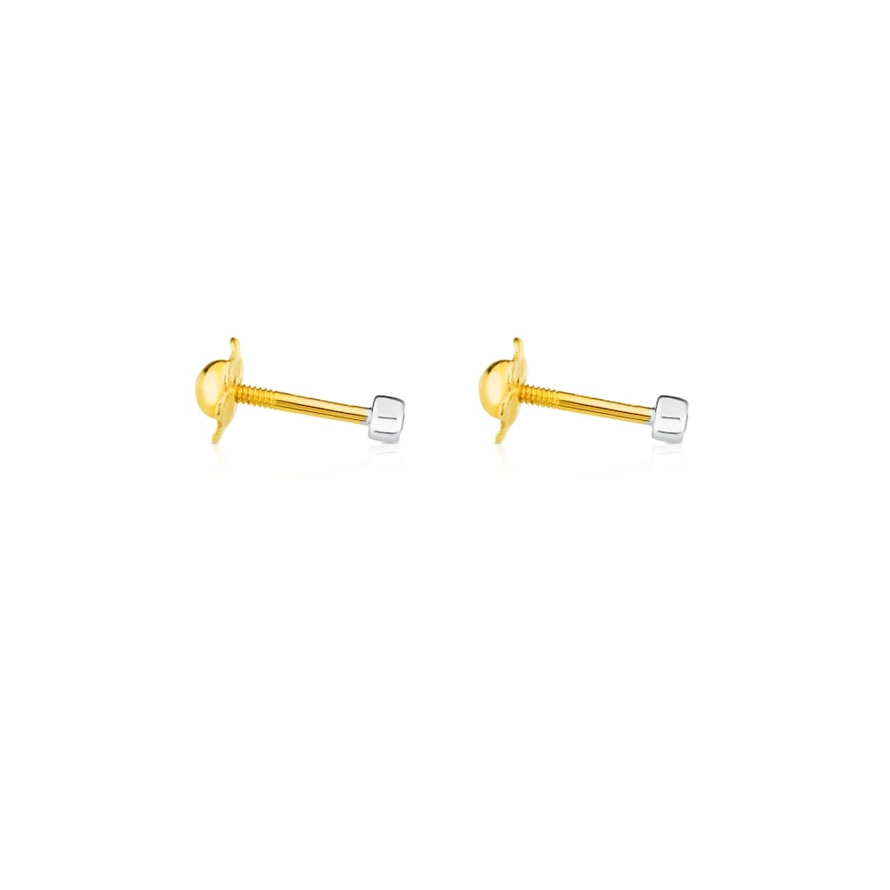 White Gold TOUS Diamonds Earrings 0,02ct