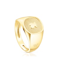 Gold Oursin Signet ring