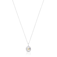 Collar de plata con oso con baño de oro 18 kt sobre plata Virtual Garden
