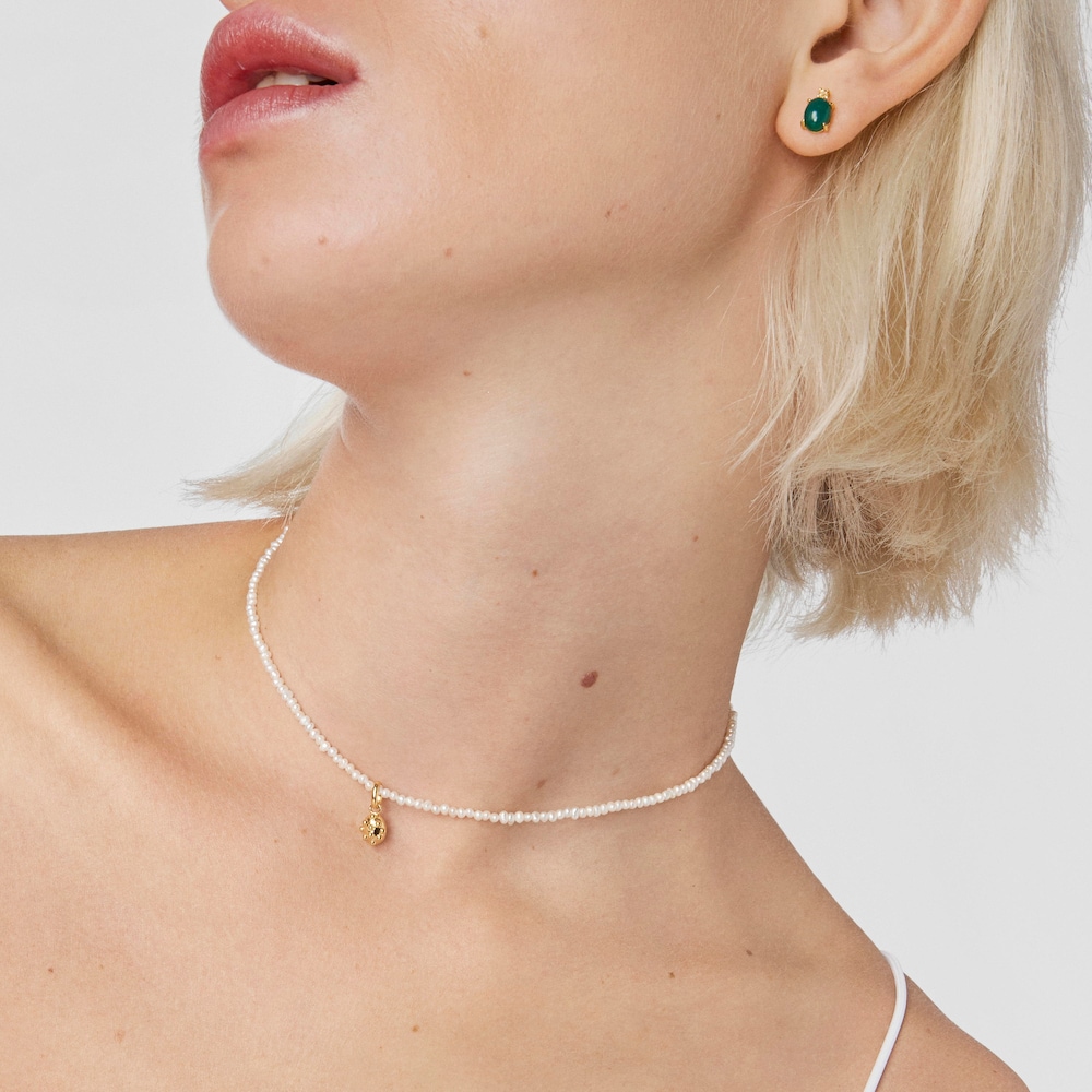 &Sigma;&phi;&alpha;&iota;&rho;&iota;&kappa;ό &mu;&epsilon;&nu;&tau;&alpha;&gamma;&iota;ό&nu; Virtual Garden &alpha;&pi;ό &alpha;&sigma;ή&mu;&iota; vermeil