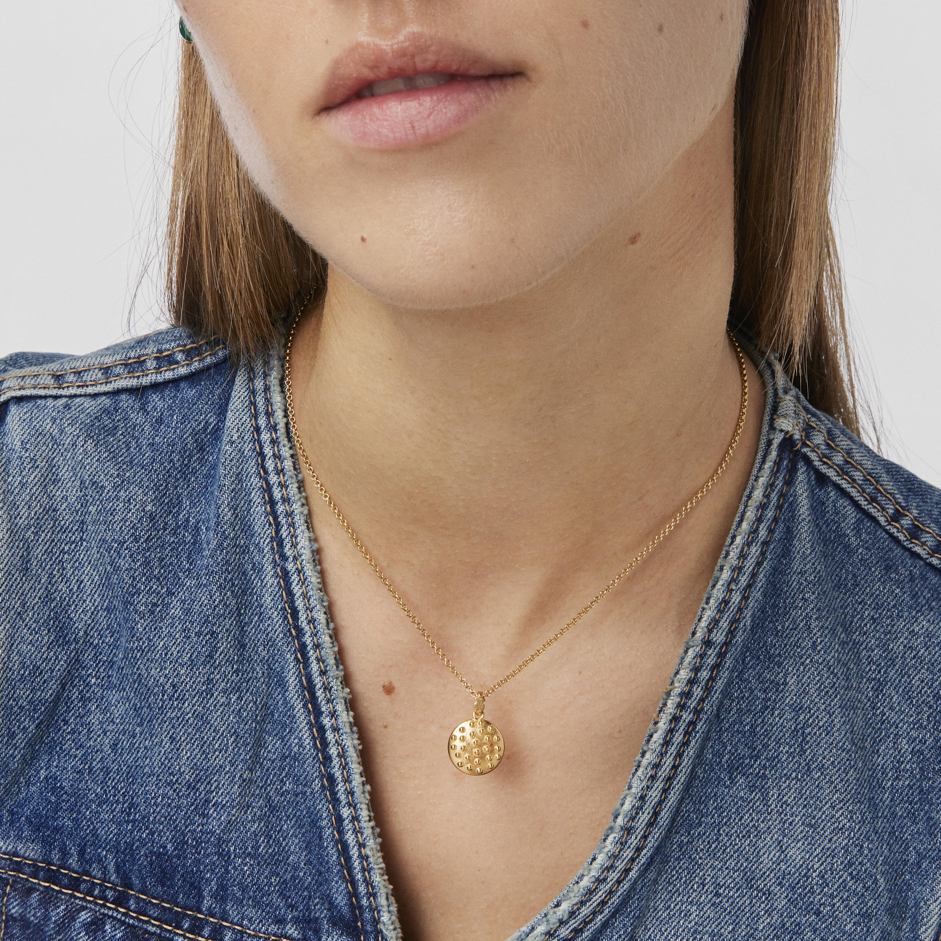 Silver vermeil Virtual Garden Medallion pendant