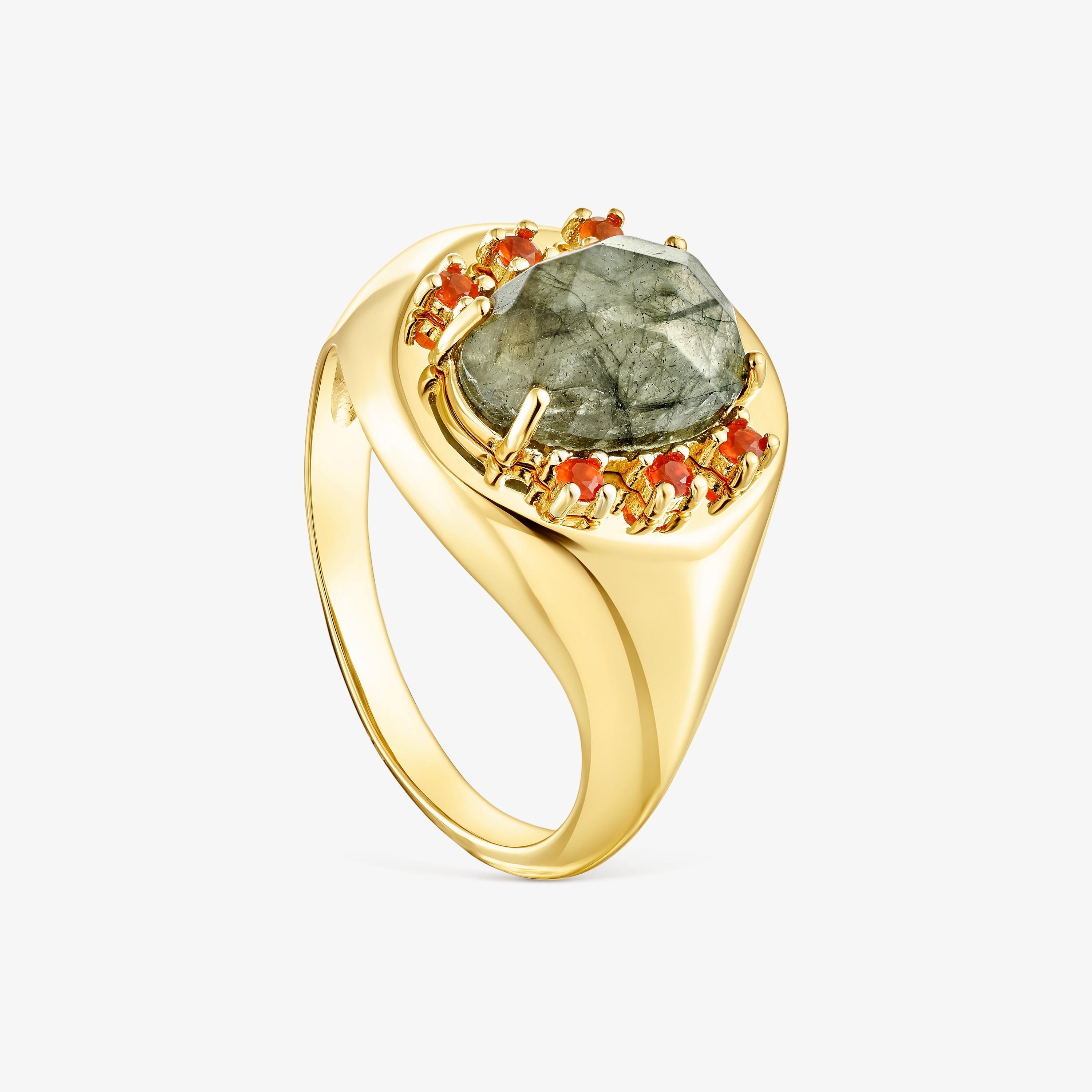 Silver vermeil Virtual Garden Signet ring with labradorite and carnelian