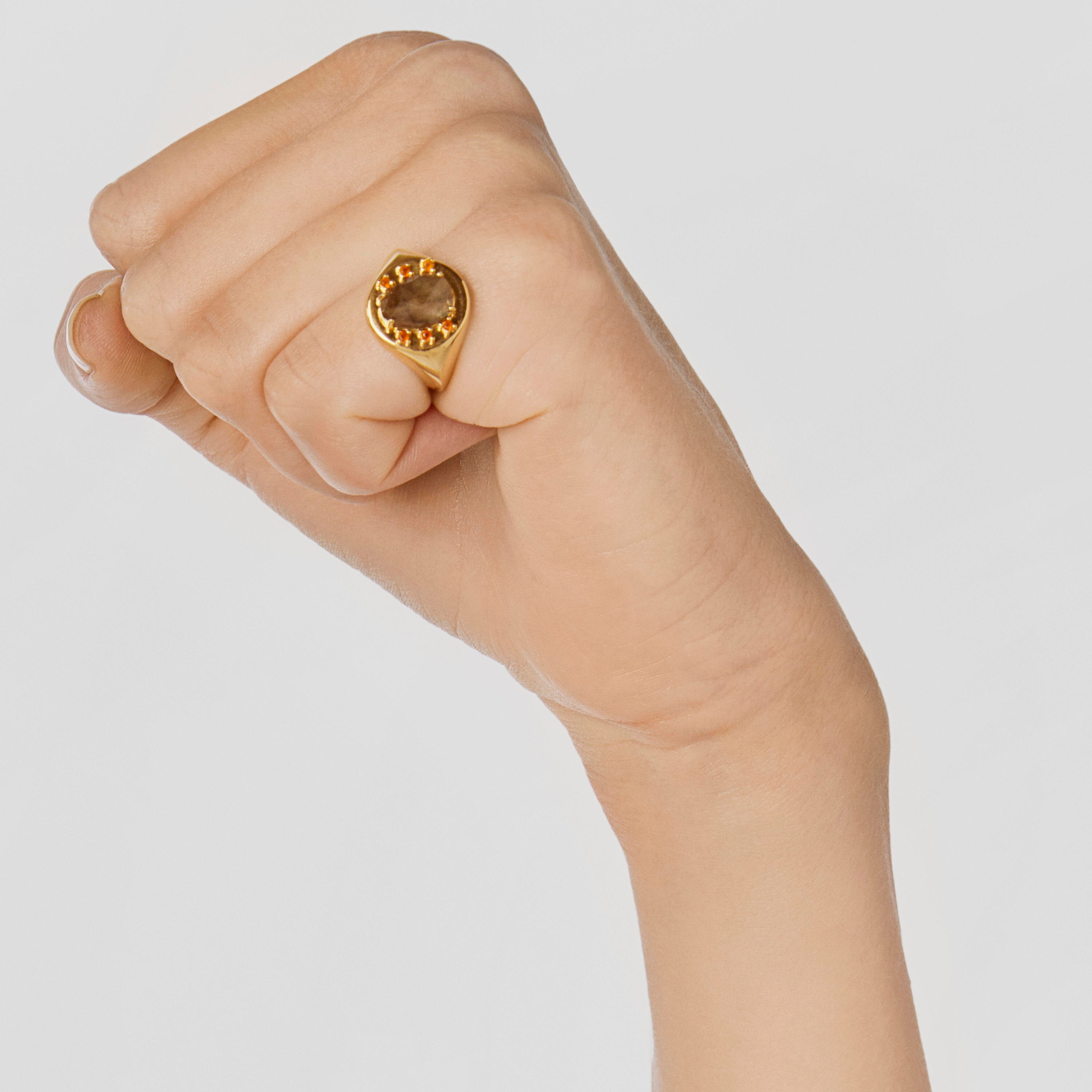 Silver vermeil Virtual Garden Signet ring with labradorite and carnelian