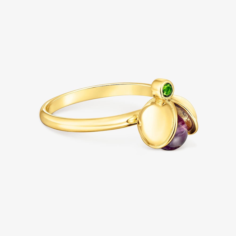 Silver vermeil Virtual&nbsp;Garden Ring with amethyst and chrome diopside
