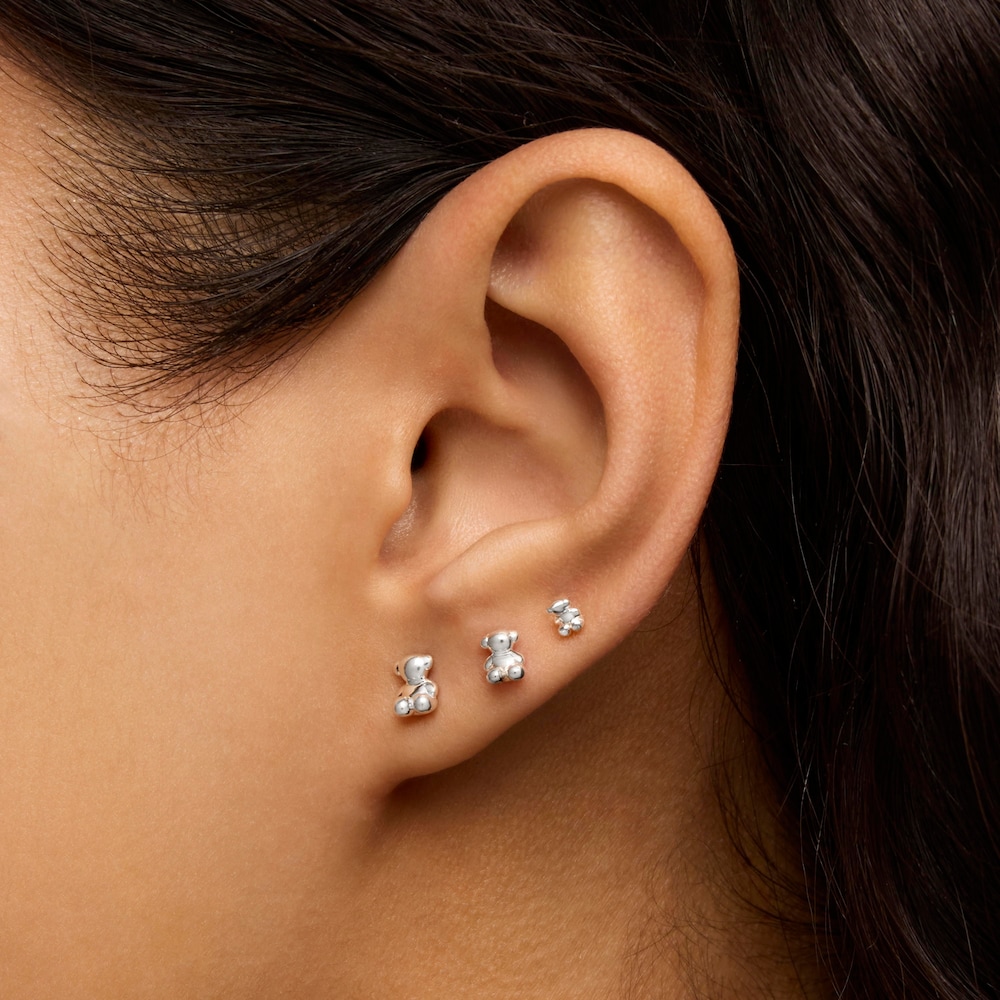 Pack de pendientes de plata oso Bold Bear