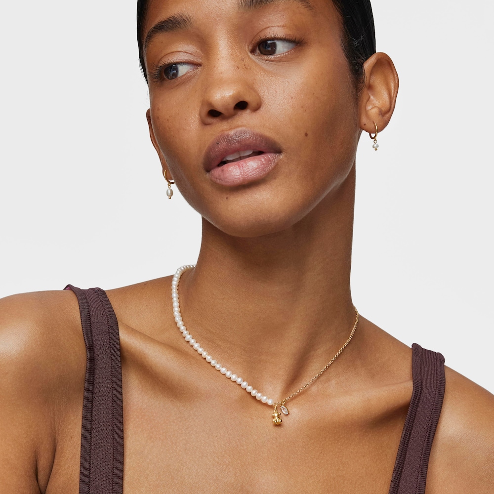 &Kappa;&omicron;&nu;&tau;ό &kappa;&omicron;&lambda;&iota;έ &alpha;&rho;&kappa;&omicron;&upsilon;&delta;ά&kappa;&iota; Bold Bear &mu;&epsilon; &epsilon;&pi;&iota;&chi;&rho;ύ&sigma;&omega;&sigma;&eta; &pi;ά&nu;&omega; &sigma;&epsilon; &alpha;&sigma;ή&mu;&iota;, &kappa;&alpha;&lambda;&lambda;&iota;&epsilon;&rho;&gamma;&eta;&mu;έ&nu;&alpha; &mu;&alpha;&rho;&gamma;&alpha;&rho;&iota;&tau;ά&rho;&iota;&alpha; &kappa;&alpha;&iota; &tau;&omicron;&pi;ά&zeta;&iota;