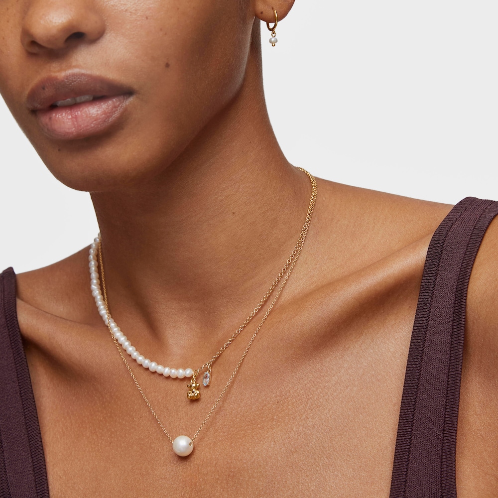 &Kappa;&omicron;&nu;&tau;ό &kappa;&omicron;&lambda;&iota;έ &alpha;&rho;&kappa;&omicron;&upsilon;&delta;ά&kappa;&iota; Bold Bear &mu;&epsilon; &epsilon;&pi;&iota;&chi;&rho;ύ&sigma;&omega;&sigma;&eta; &pi;ά&nu;&omega; &sigma;&epsilon; &alpha;&sigma;ή&mu;&iota;, &kappa;&alpha;&lambda;&lambda;&iota;&epsilon;&rho;&gamma;&eta;&mu;έ&nu;&alpha; &mu;&alpha;&rho;&gamma;&alpha;&rho;&iota;&tau;ά&rho;&iota;&alpha; &kappa;&alpha;&iota; &tau;&omicron;&pi;ά&zeta;&iota;