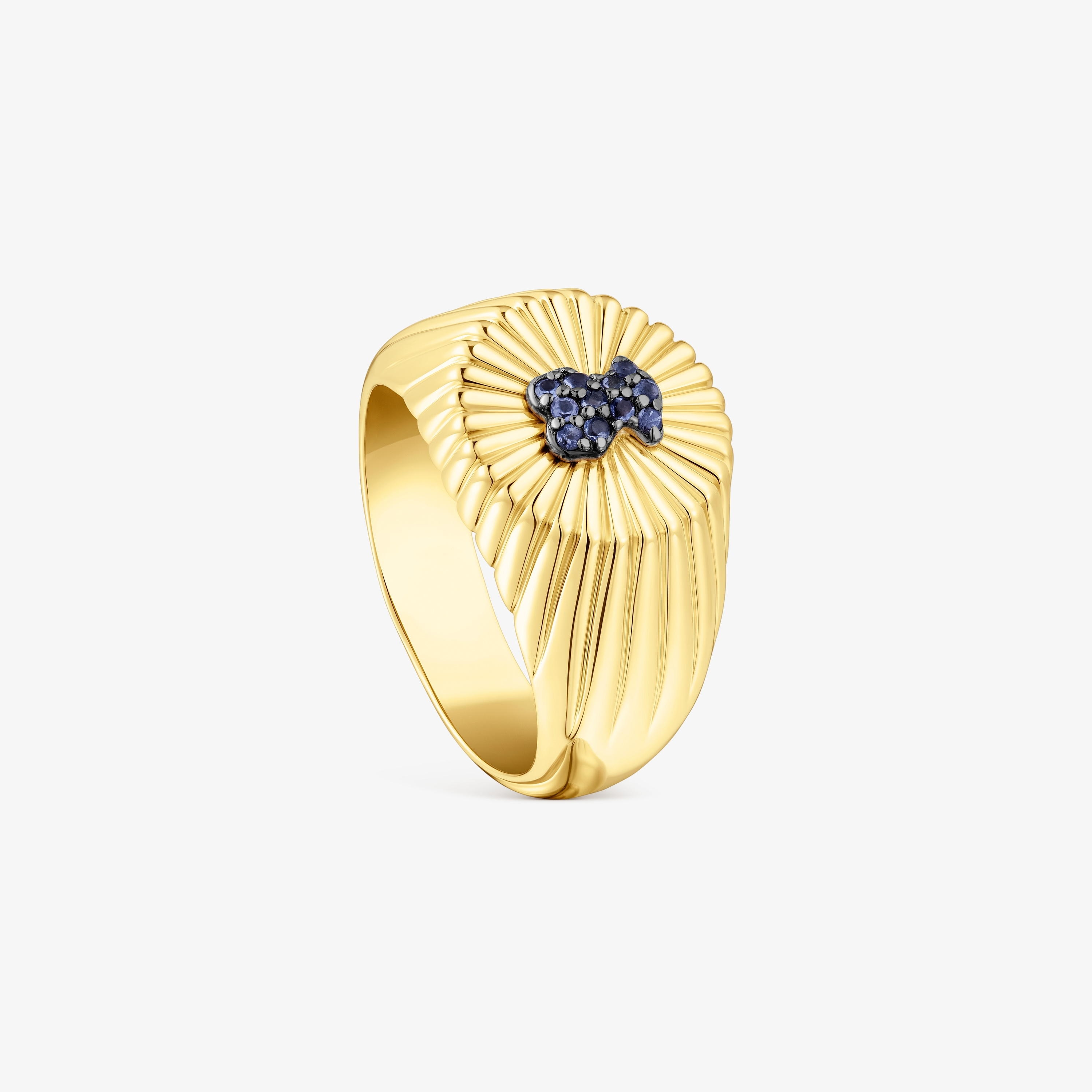 Silver vermeil Signet ring and bear with iolite Iris Motif