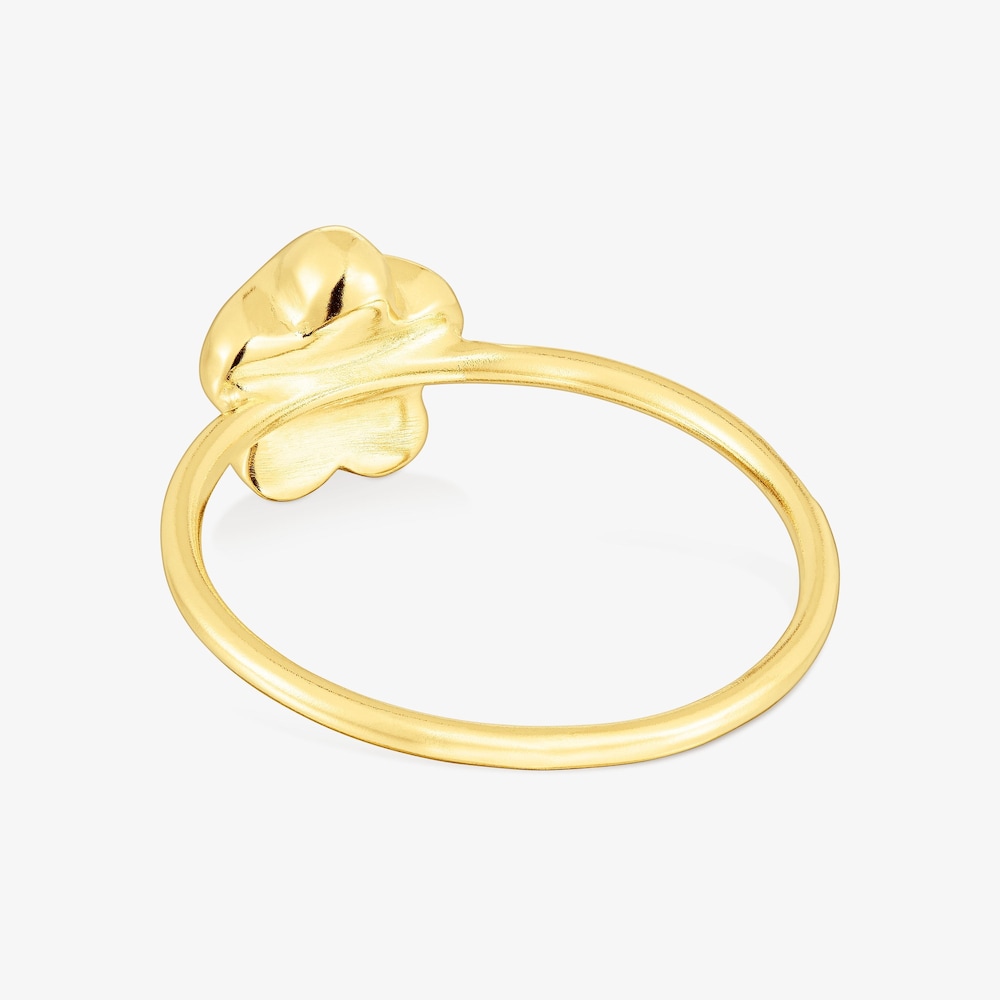 &Delta;&alpha;&chi;&tau;&upsilon;&lambda;ί&delta;&iota; &mu;&epsilon; &lambda;&omicron;&upsilon;&lambda;&omicron;ύ&delta;&iota; TOUS Balloon &alpha;&pi;ό &chi;&rho;&upsilon;&sigma;ό