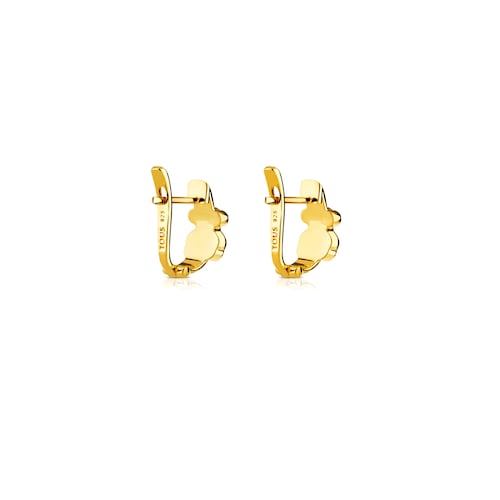 Vermeil Silver Gen Earrings