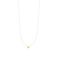 Collar XXS de oro motivo estrella Sweet Dolls