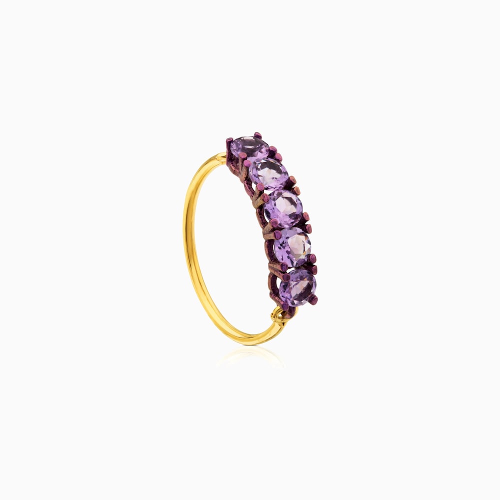 ATELIER Titanium Ring with Gold and Amethysts