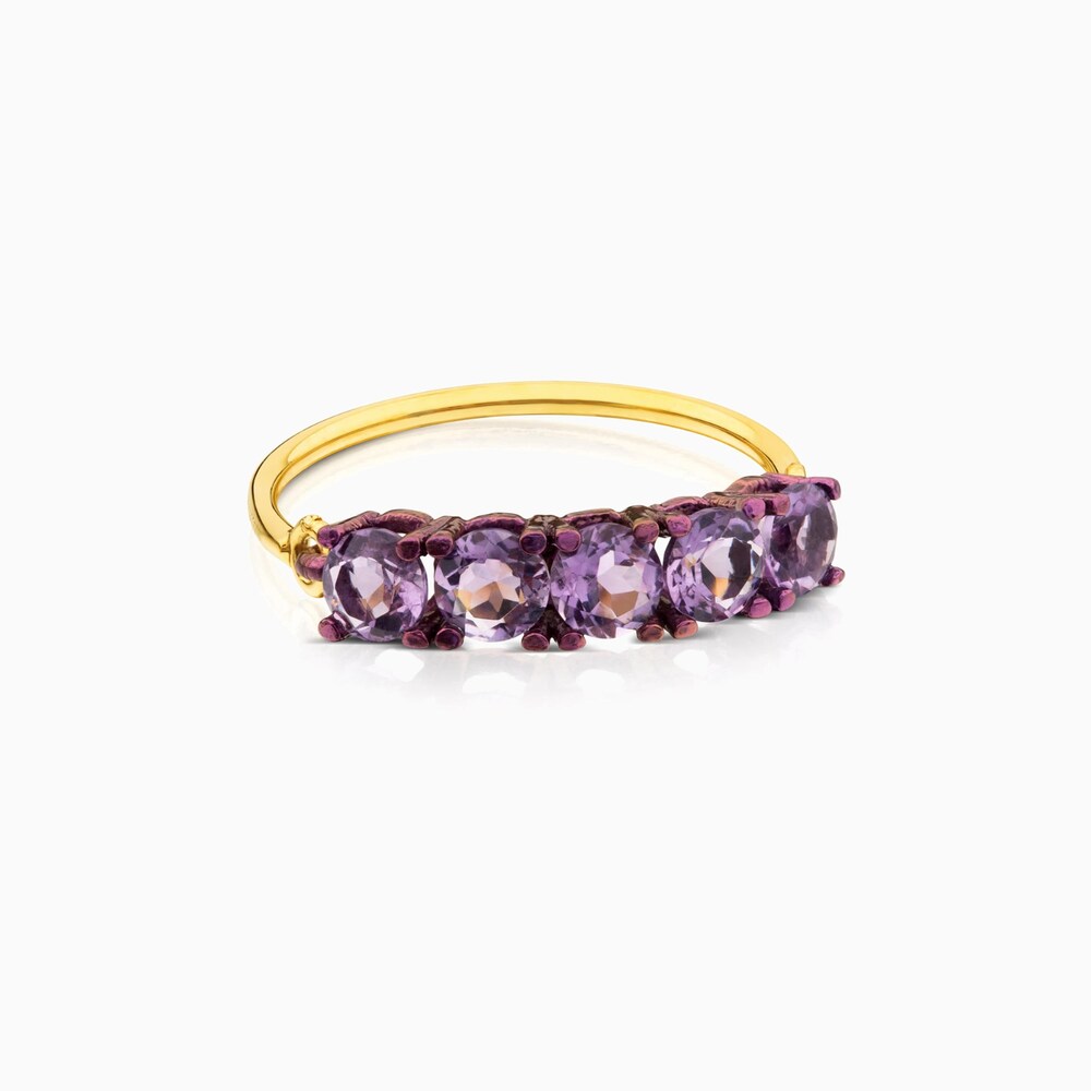 ATELIER Titanium Ring with Gold and Amethysts