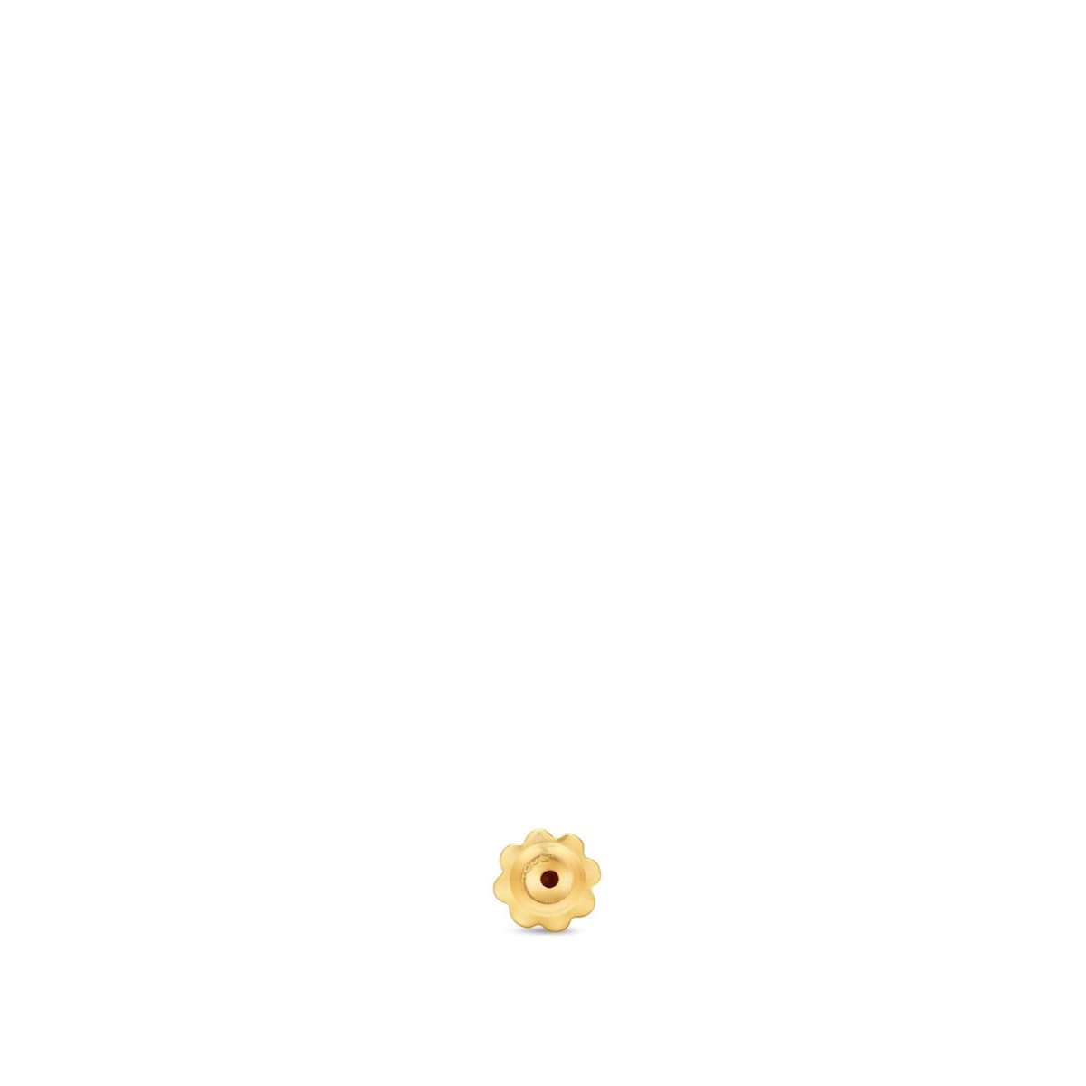 Cierre De Rosca De Oro Bear