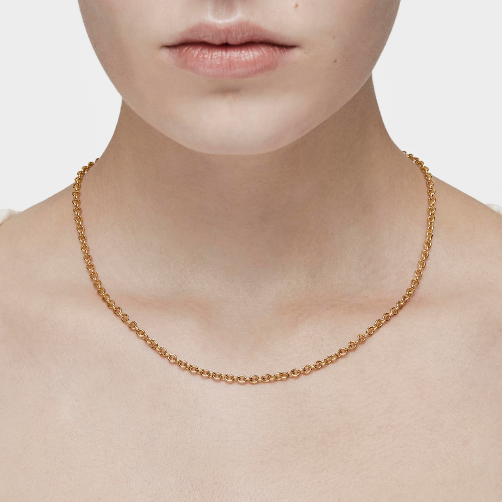 Silver Vermeil Hold Choker